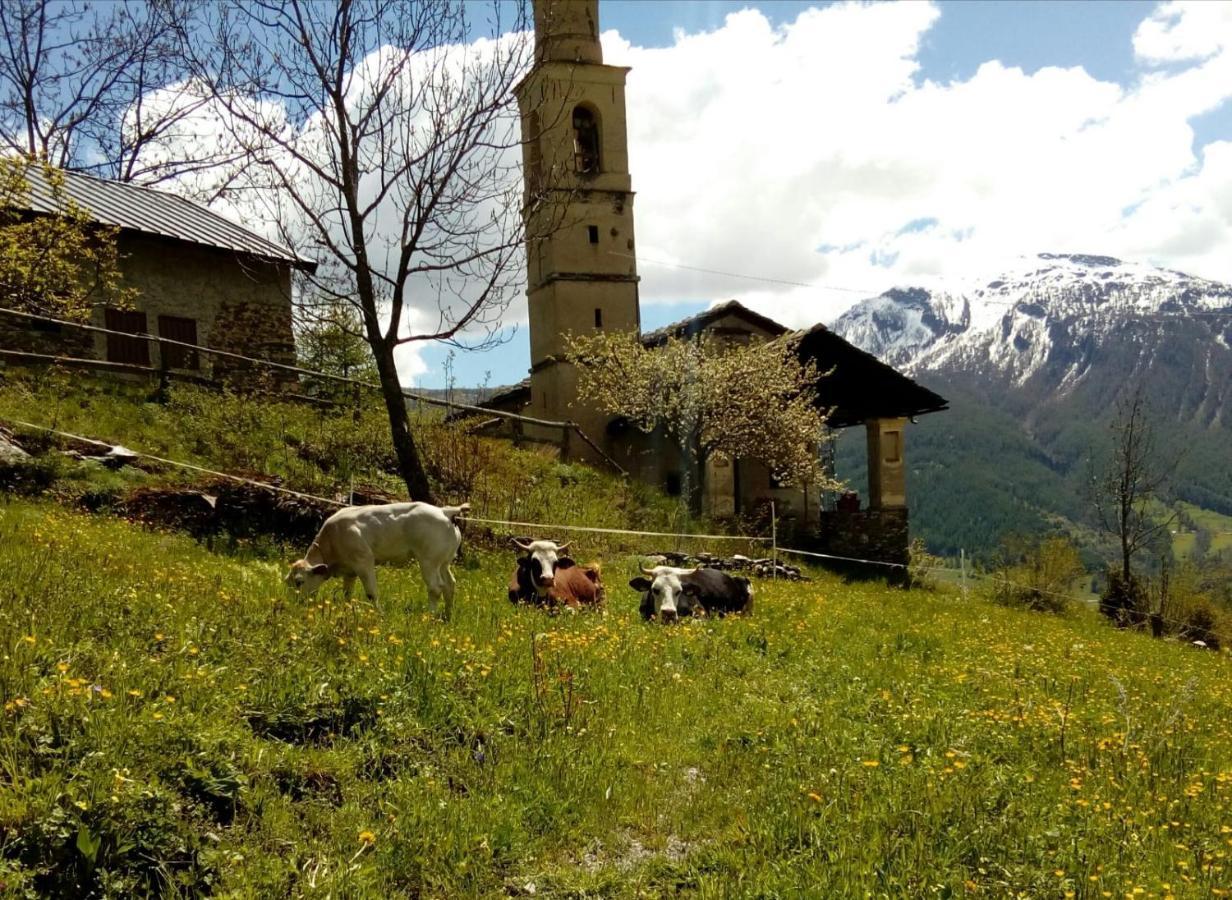 Agri-B&B Lou Col Canosio Экстерьер фото