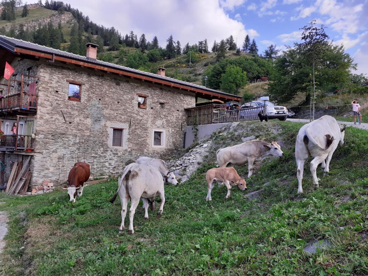Agri-B&B Lou Col Canosio Экстерьер фото